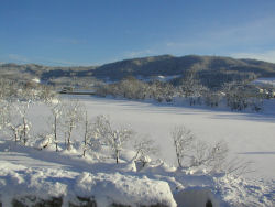 �тӂ��A�C�����h