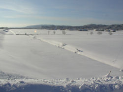 �����V����͔�