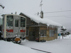 �L�����w