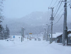 ���Ўq�{�s�X