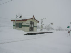 �V���쉷��w