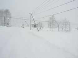 �V���쉷��w����