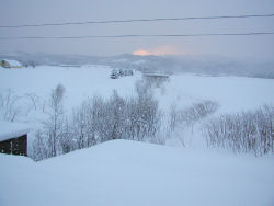 ����[�Ă�