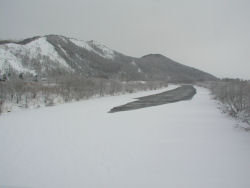 �Y�M���V����