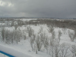 �Y�M���͌�