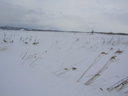 �Y�M������