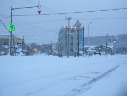 �L�x����