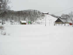 �y���ӂꂠ������