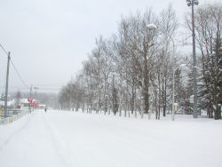 ���ь���