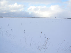 �T���x�c����