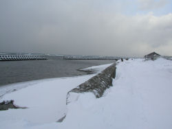 �t�����C��