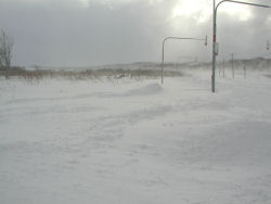 ���C�w����