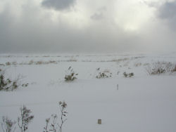 ���C�����ԉ�