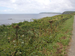 �ĐK�����