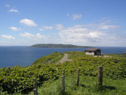 ��̑����n����