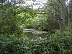 �����тɔ�߂�ꂽ��