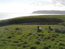 �T�t�H�[�N�̘Ȃޑ���