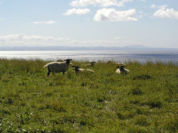 �����ɘȂރT�t�H�[�N