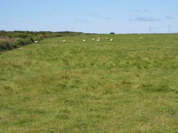 �ĐK���呐��