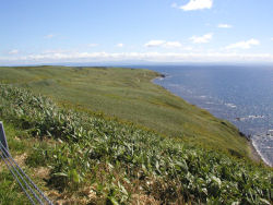 �ĐK�����