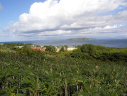 ���ɍs�����j�܂��