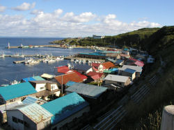 �V�����̍`