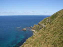 �Ԋ�W�]�䂩��