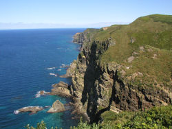 �C���ώ@�ɂ���