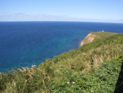 �ω��肩�瓔���]��