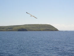 �V��������ĐK����