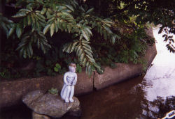 ���H�ɍ���͓�