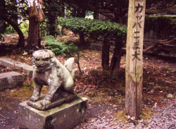 �J�b�p���܌�