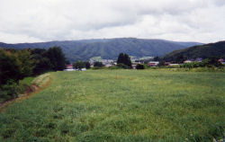 �f���f���삩�痢���̂���