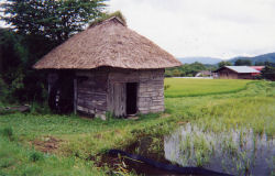 �R���̐��ԏ���