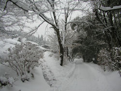 ���Ă֌�����