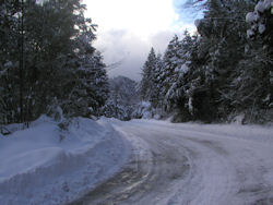 ���Ă���n�Ă�