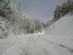 ���Ă���n�Ă�