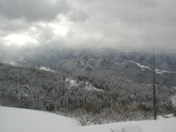 �w���Ղ���