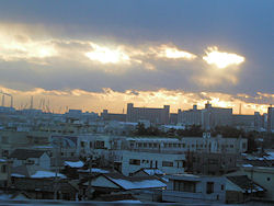 �V����������Ⴊ