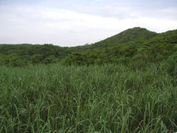 �^�ߍ��̎R��