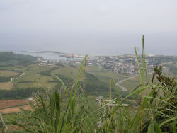 �F�Ǖ��x���ォ��