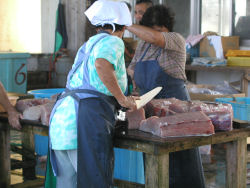 �J�W�L�}�O���̉��