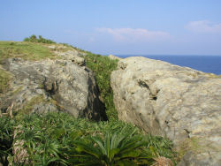 �v���ǃo��