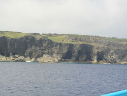 �k�q��̒f�R