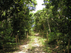 �V��@�V����