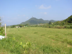 �g�D���O�c