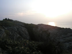 �Ő��[�̗[�z