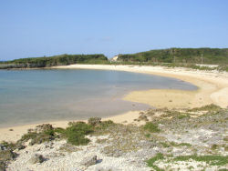 �J�^�u���l