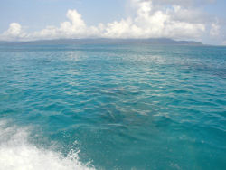 ���\�������ڂɑ唚��