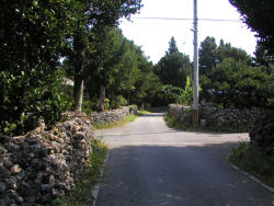 �g�ƊԂ̏W��